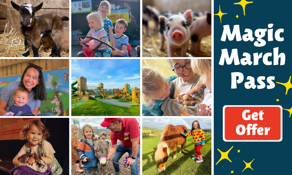 Unlimited FREE Returns in March!