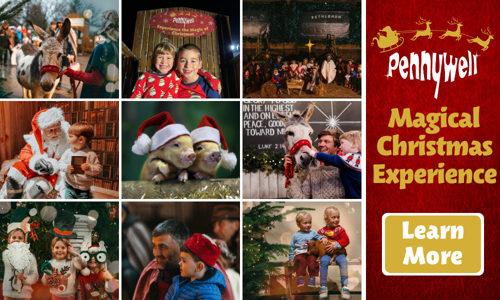 Magical Christmas Experience