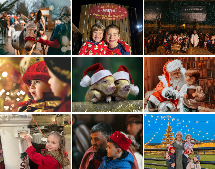 Magical Christmas Experience
