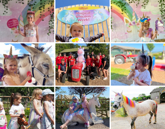 Magical Unicorn Festival!