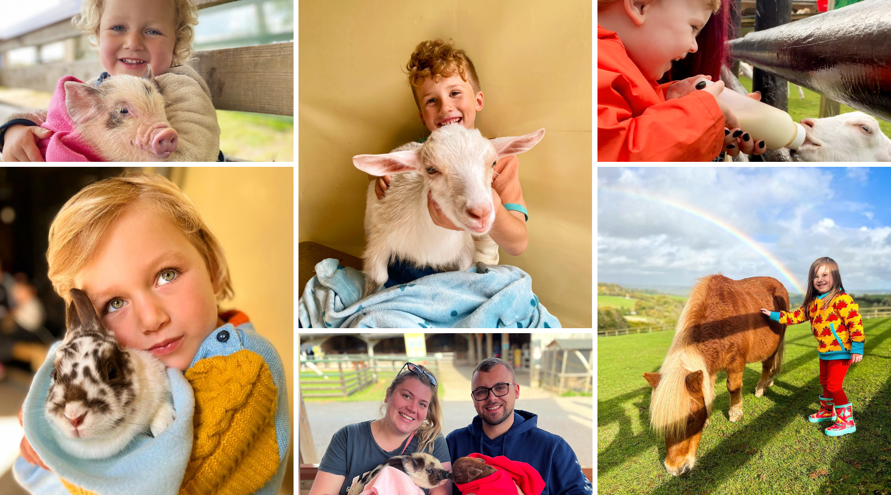 Collage of children and adults interacting with various farm animals including a piglet, goat, rabbit, bird, and pony outdoors and indoors