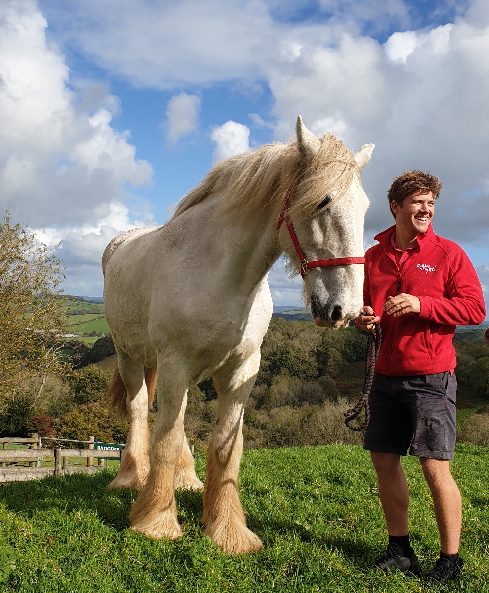 White horse with red halter standing on grass next to man in red jacket and black shorts