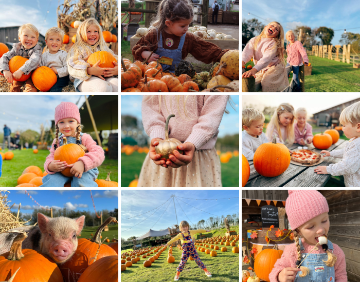 Pumpkin Festival