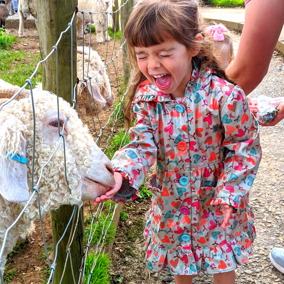 6 Reasons to choose an experience over a gift this Christmas