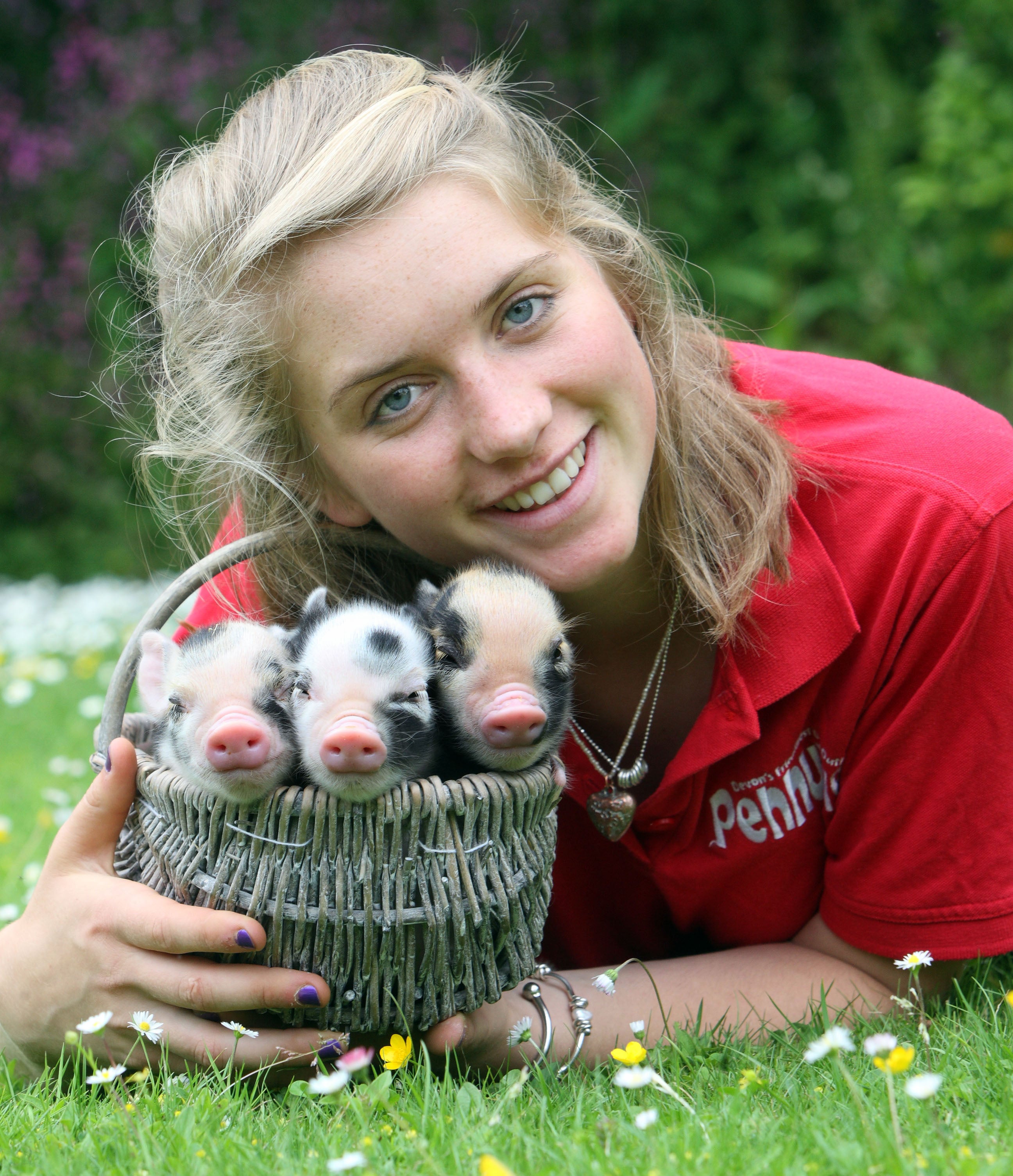 Easter Holidays at Pennywell - Devon Tourist Attraction