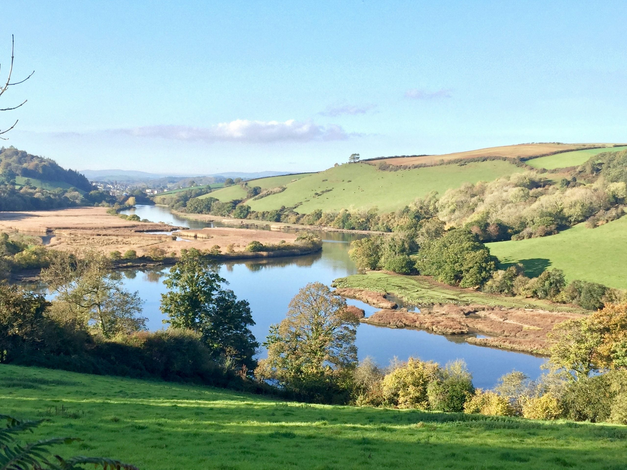 Follow the River Dart, Family-Friendly Riverside Walks Near Buckfastleigh