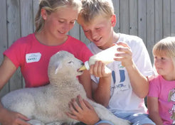 Bottle Feeding