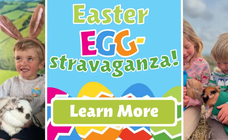 Easter Egg-Stravaganza