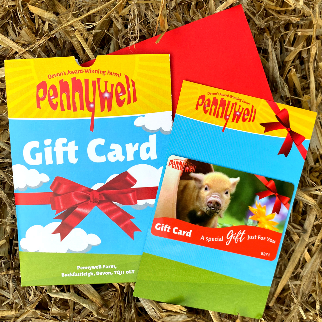 Give the Gift of Farmyard Fun!
