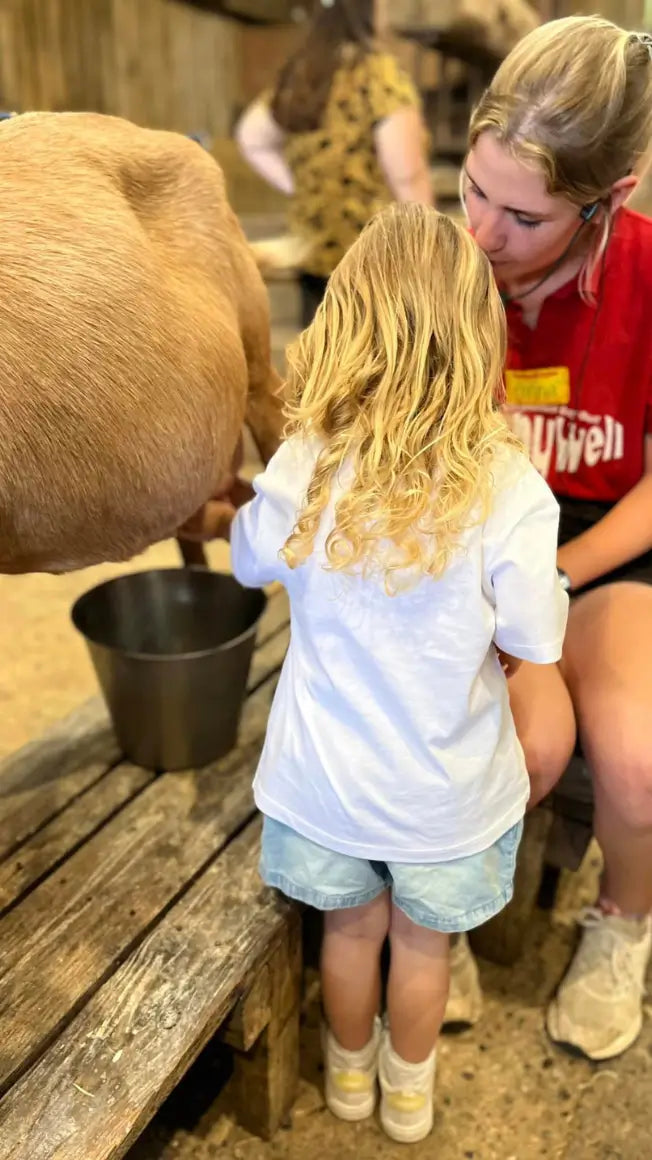 🍼Goat Milking