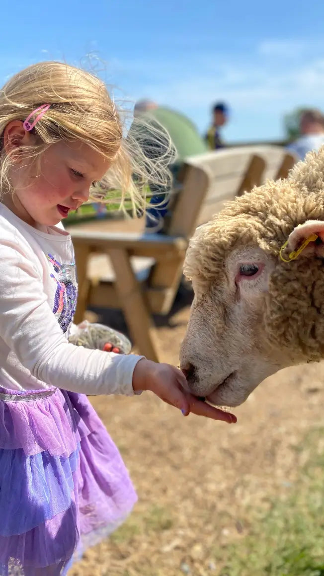 🐑Hand-Feed The Animals