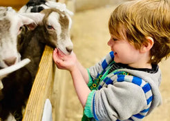 Hand-Feed The Animals