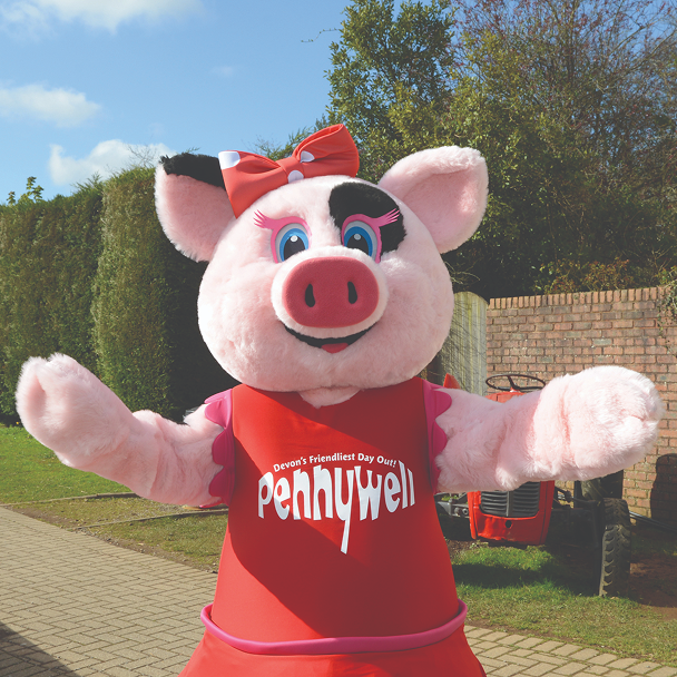 🐽 Meet Pippa the Pig