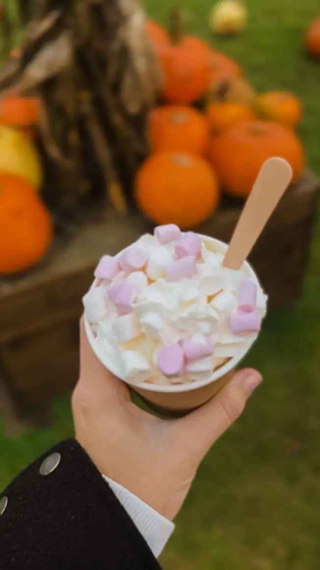a hand holding a cup of hot chocolate topped with whipped cream and pink marshmallows, with pumpkins in the background