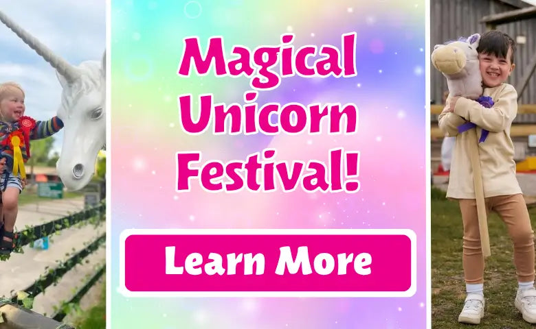 Magical Unicorn Festival