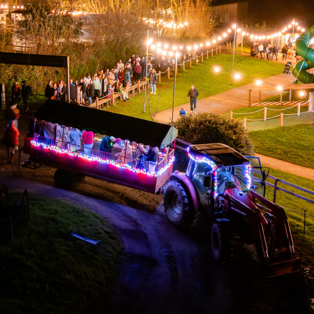 A tractor decorated with lights pulls a trailer filled with people, surrounded by a festive atmosphere and a crowd.