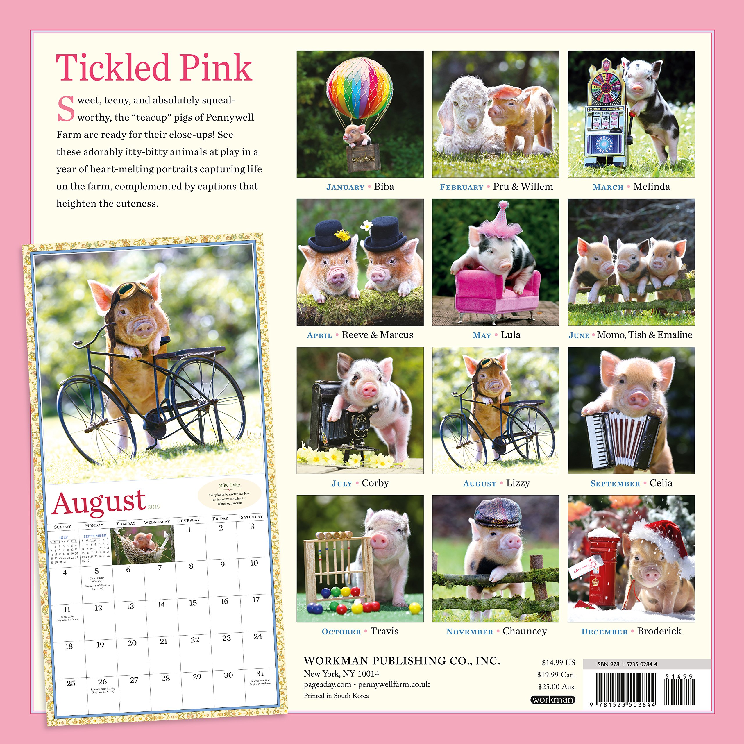 Pocket Pig Calander-micro pigs