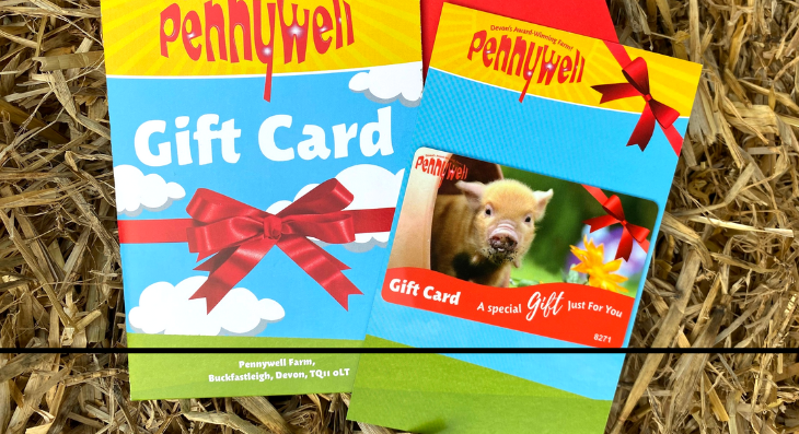 Pennywell Farm - Gift Cards!