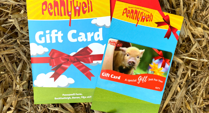 Pennywell Farm - Gift Cards