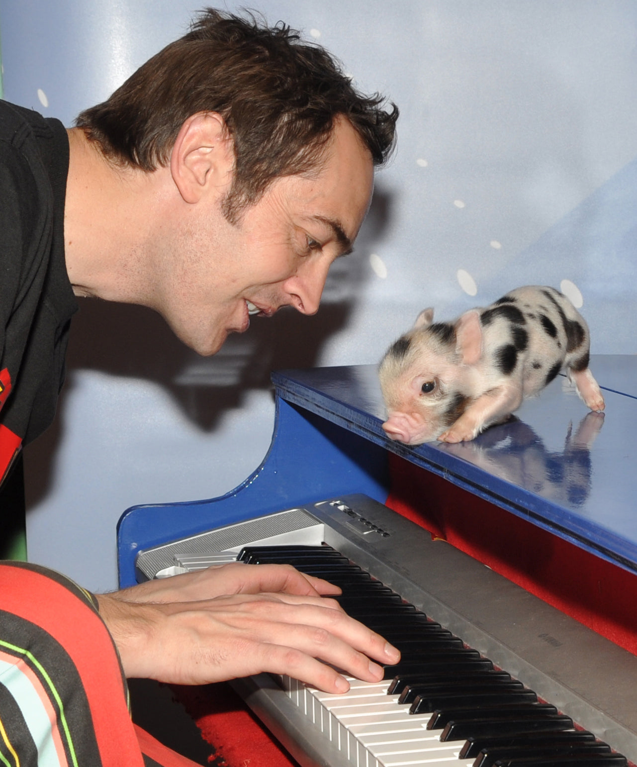 Summer Starts Here! At Pennywell  - Devon Tourist Attraction