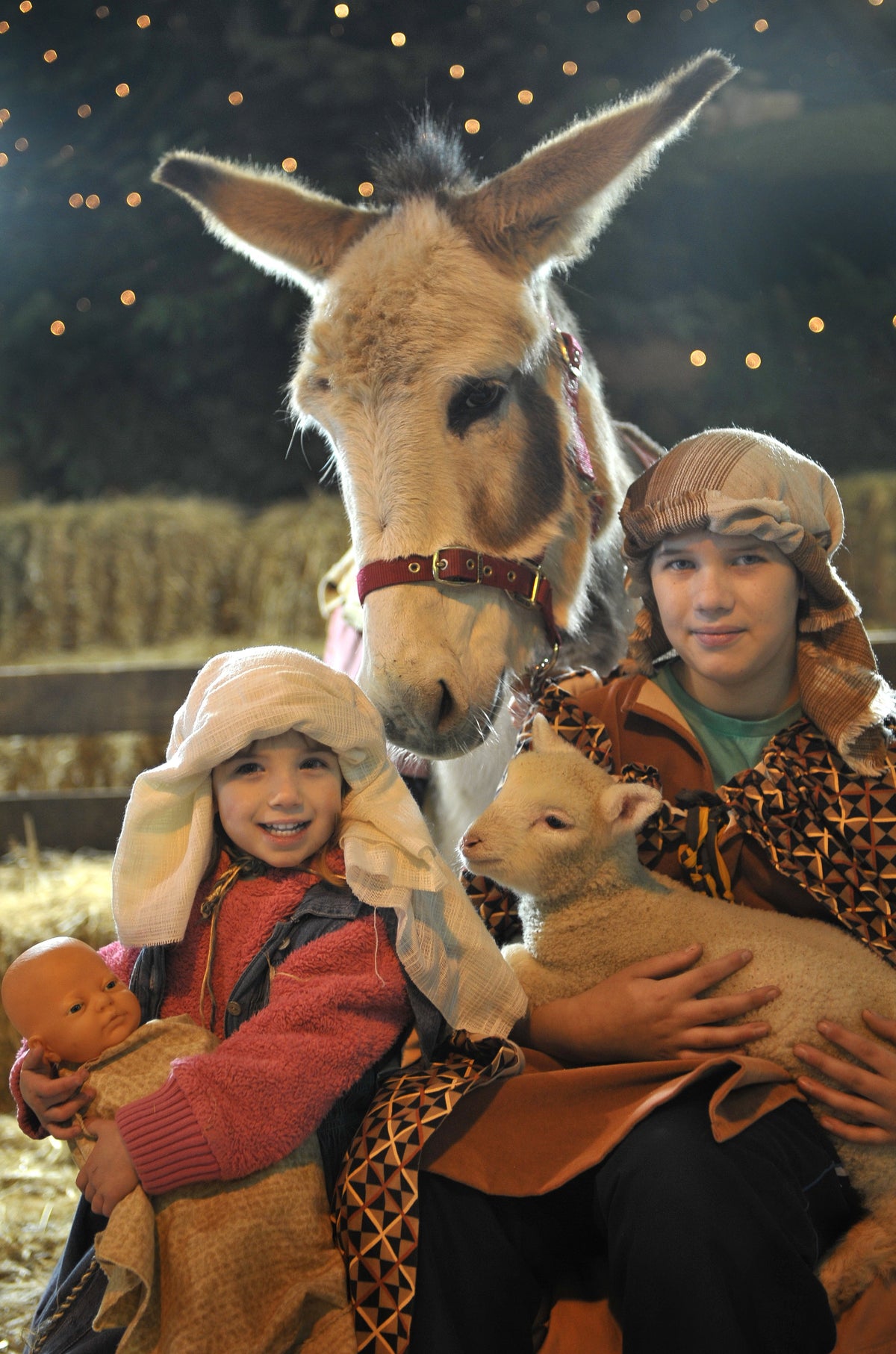 Christmas Nativity Experience | Pennywell Farm
