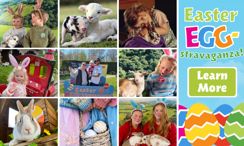 Easter Holiday Fun at Pennywell Farm!