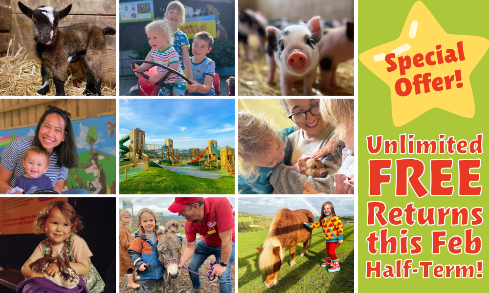 Unlimited FREE Returns this Feb Half Term!