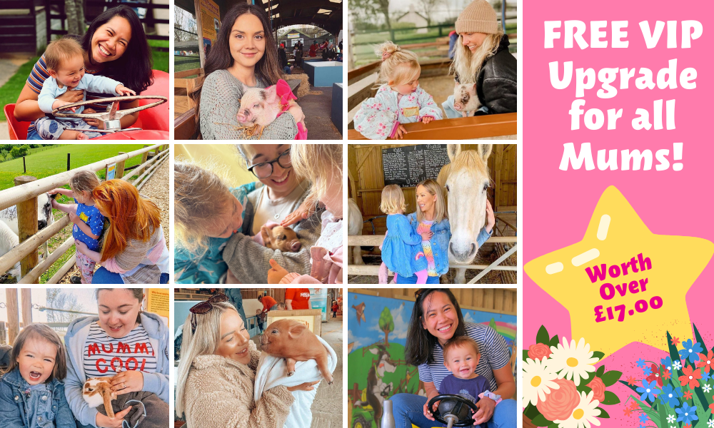 Mother's Day at Pennywell Farm: VIP Upgrade for all Mum's!