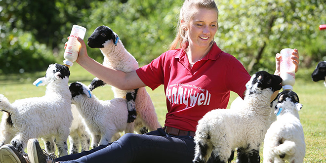 The Best Family-Friendly Activities at Pennywell Farm