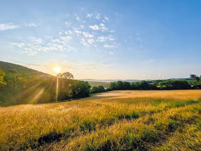 Dan’s Wild Camping