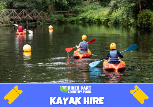 River Dart Country Park