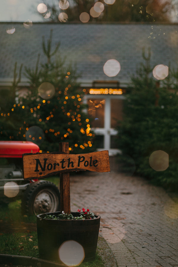 Wooden sign reading "North Pole" in front of a building decorated with Christmas lights and surrounded by trees.