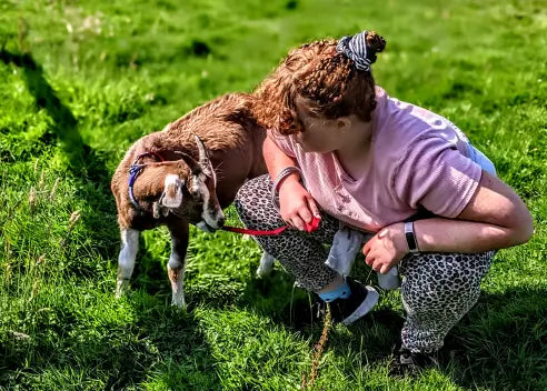 Goat Walking