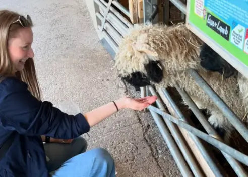 Hand-Feed The Animals