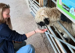 Hand-Feed The Animals