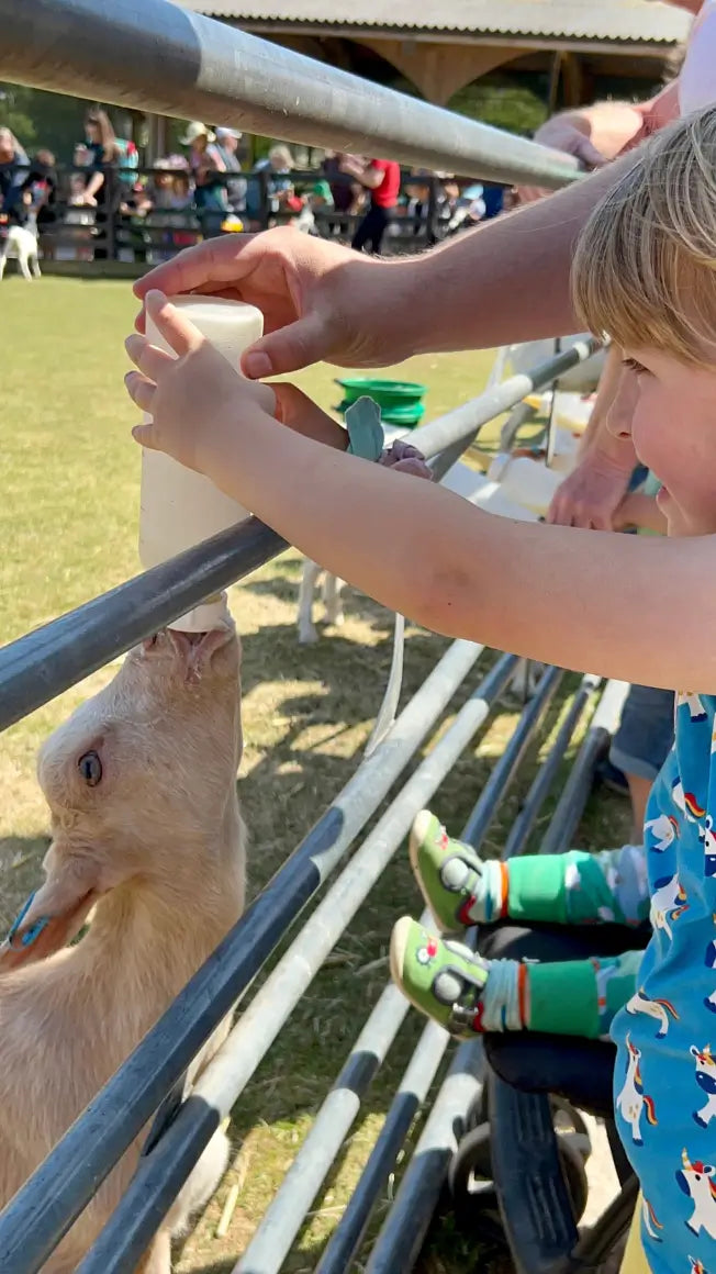 🍼Bottle Feeding
