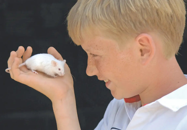 A boy smiles while holding a small white mouse in his palm against a dark background.