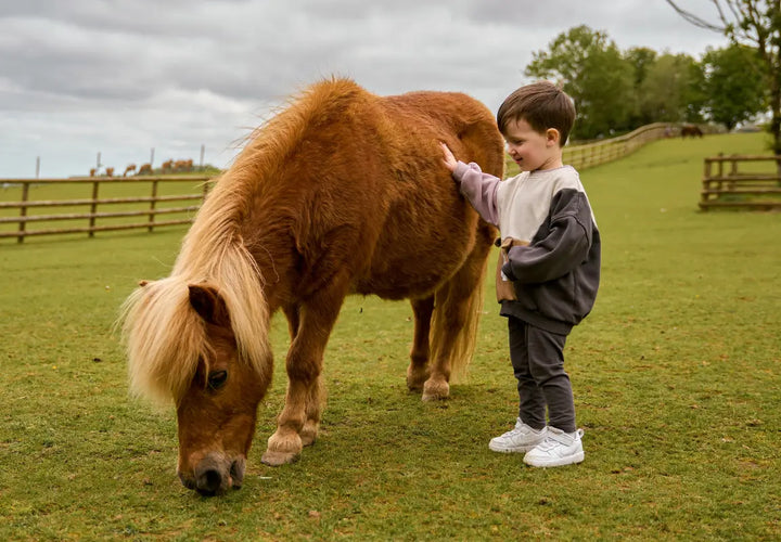 a child gently strokes a small brown pony grazing on grass in a field with trees and a fence in the background