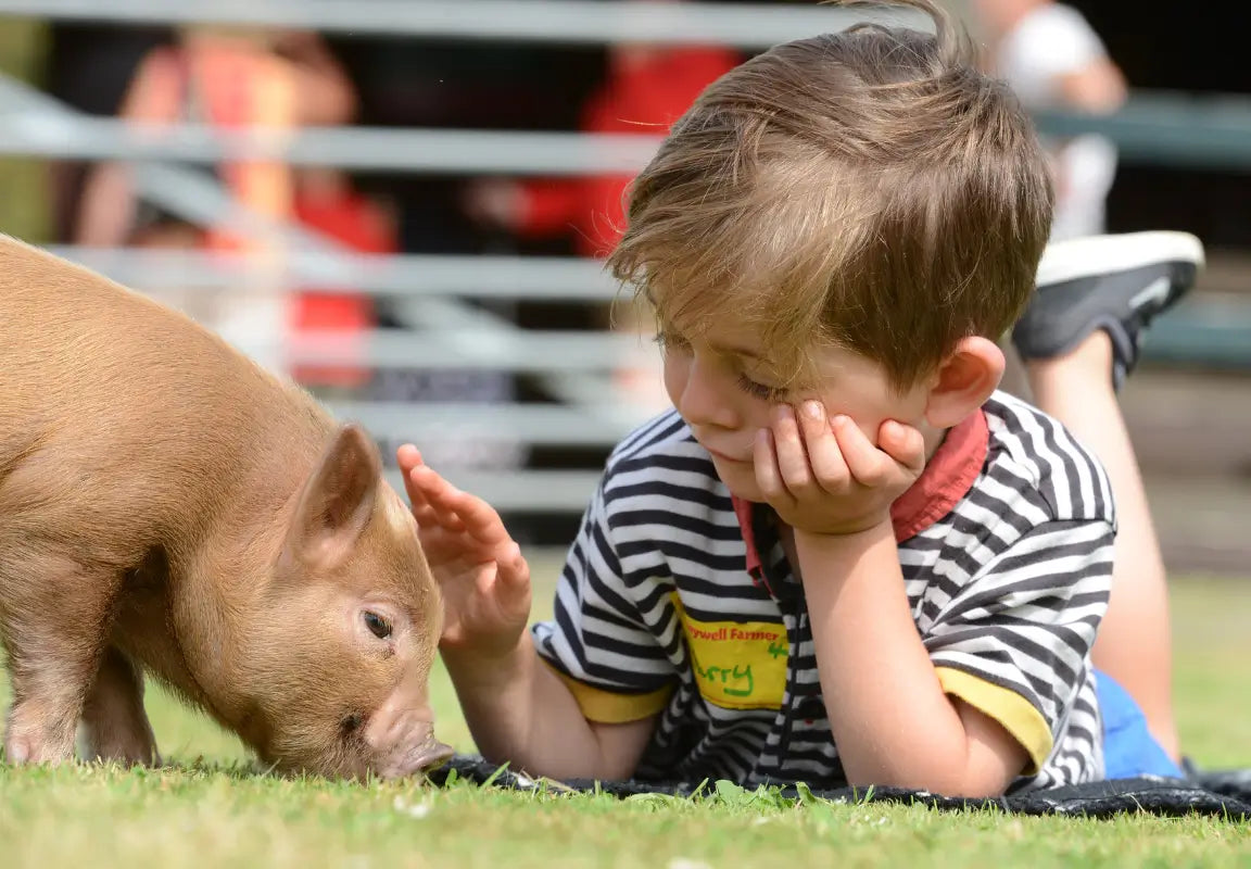 Boy with Piglet Pennywell Farm