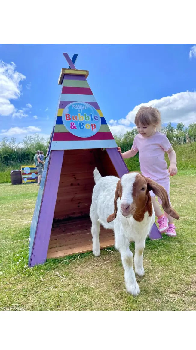🏆Enter our Bubble & Bop Giveaway