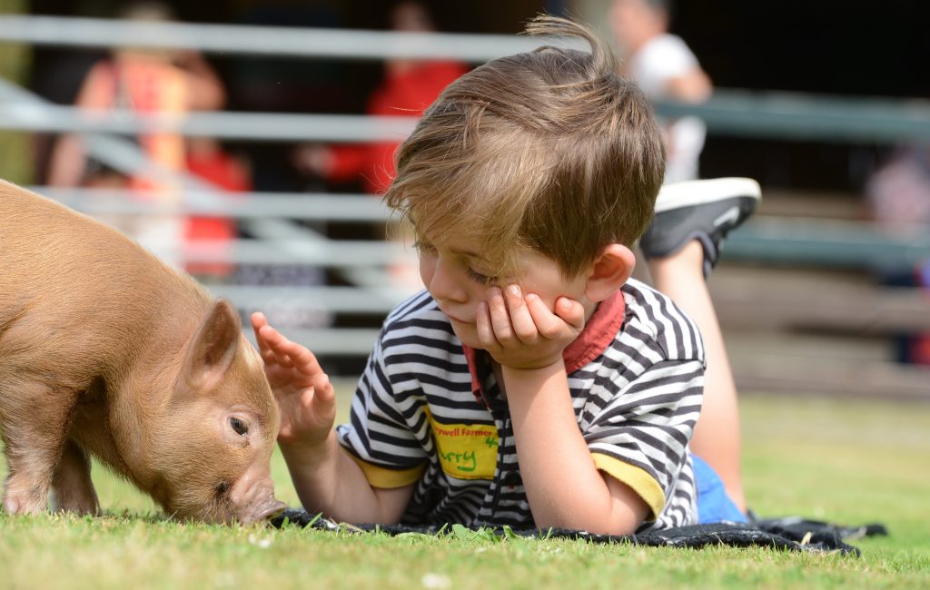 Child and piglet boy with pig 1 1 1024x650