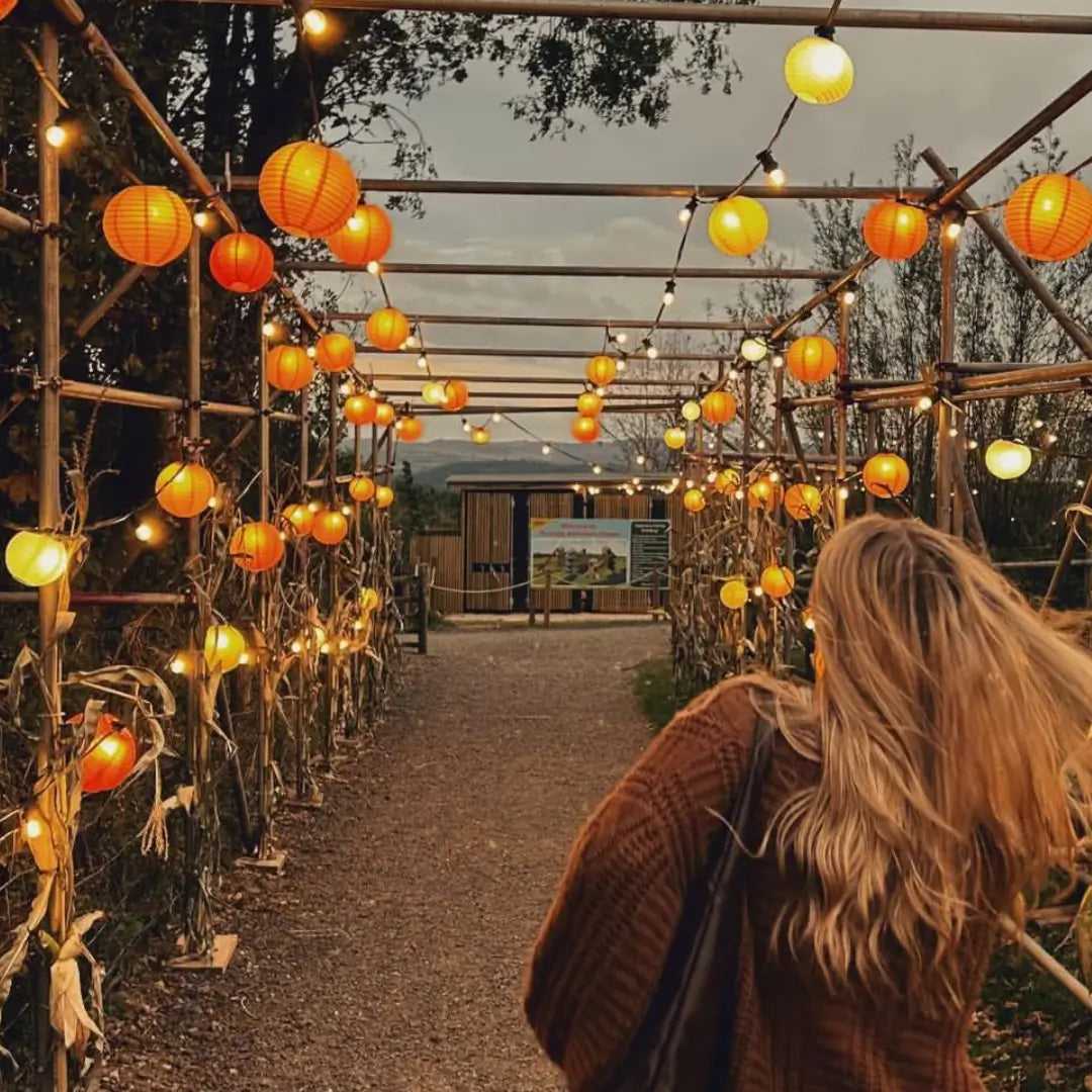 📸 Countless Instagrammable Moments