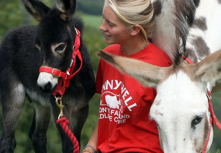 A woman in a red t-shirt interacts with a black donkey and a white donkey in a green outdoor setting.