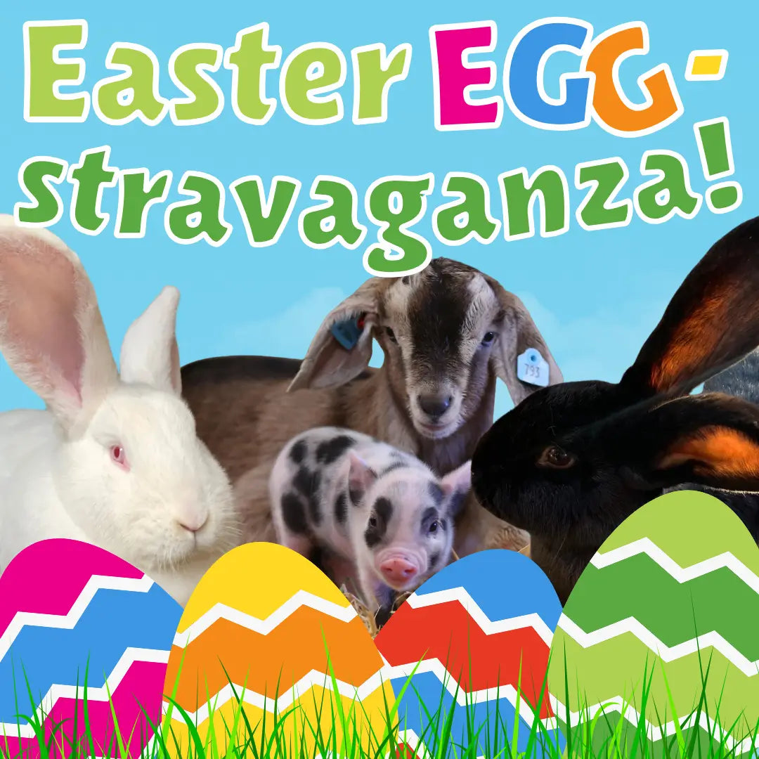 Easter EGGstravaganza