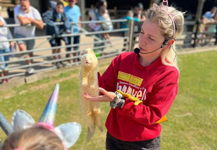A woman in a red sweatshirt holds a ferret while speaking to an audience at an outdoor event.