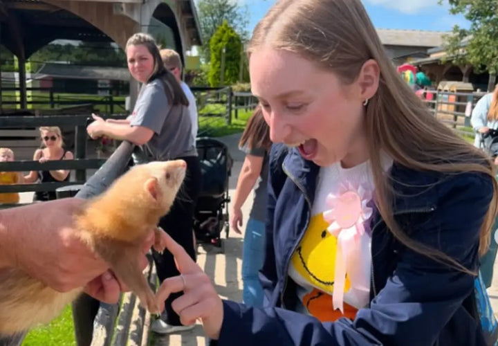 a young woman excitedly interacts with a ferret held by a person, with a crowd in the background at a farm setting
