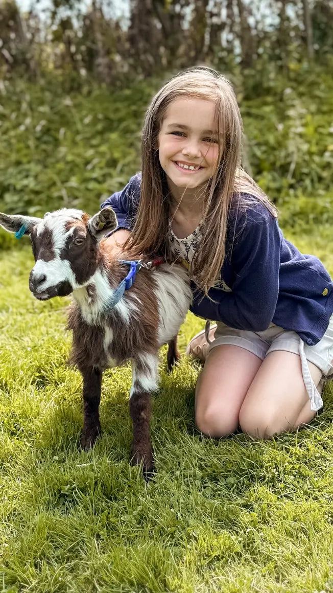 🐐Goat Walking