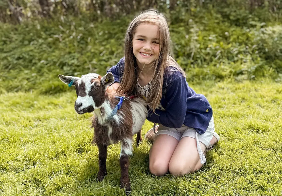 a girl kneels on grass, smiling while hugging a small brown and white goat with a blue harness