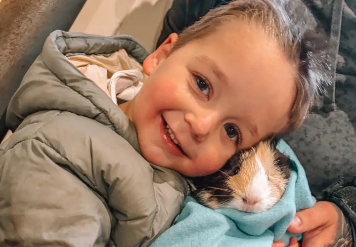 a smiling child in a grey coat cuddles a guinea pig wrapped in a blue blanket