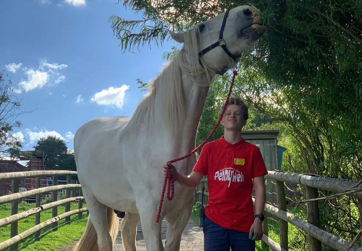 A boy in a red shirt stands beside a large white horse on a path surrounded by trees and blue sky.
